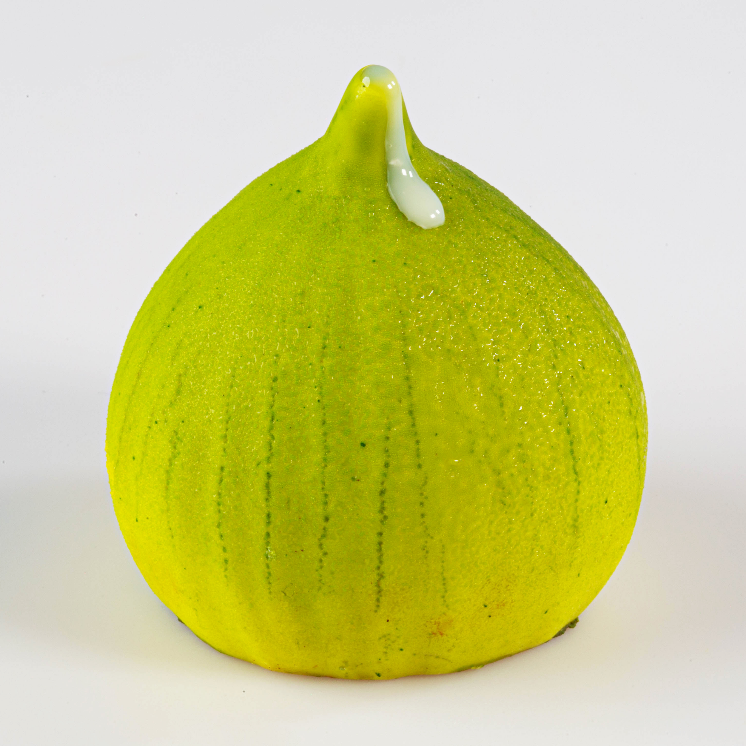 Realistic Fig